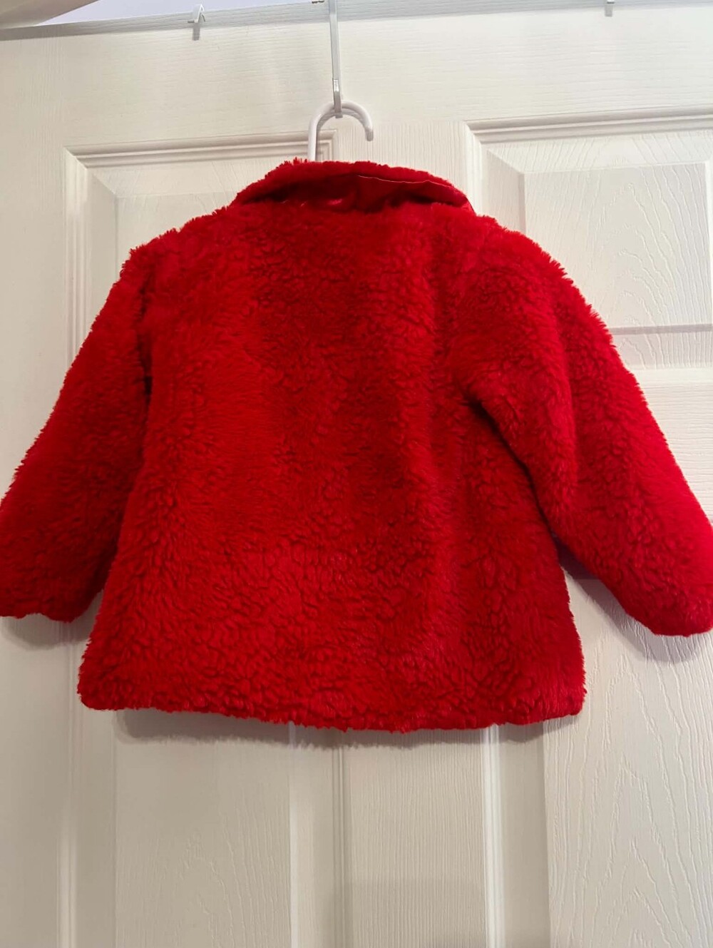 Red Jacket - Picture 4 of 4
